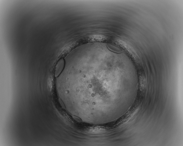 X0000095890451200801181229