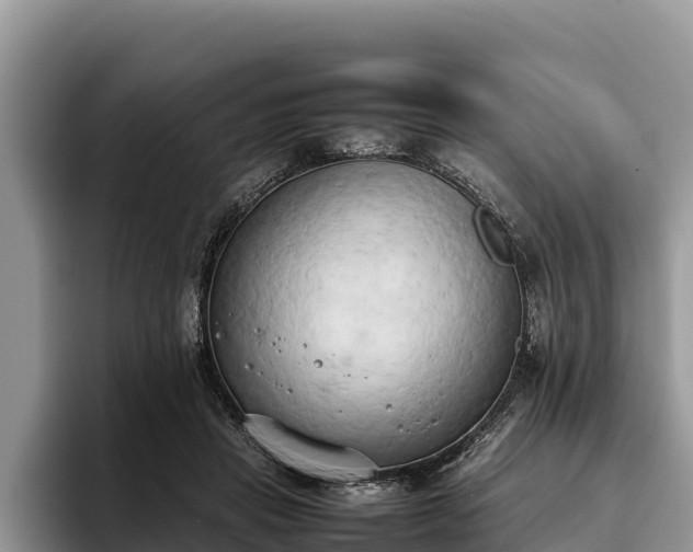 X0000095890453200801181229
