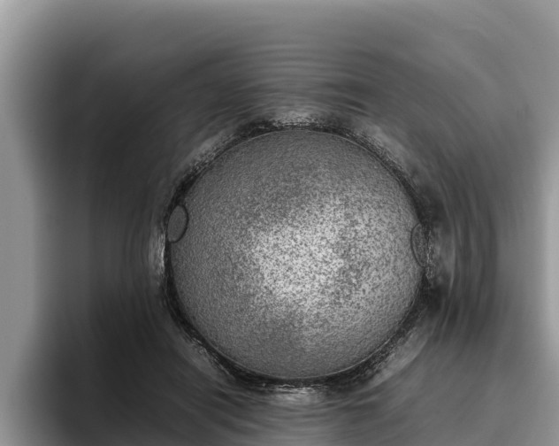 X0000095890454200801181229