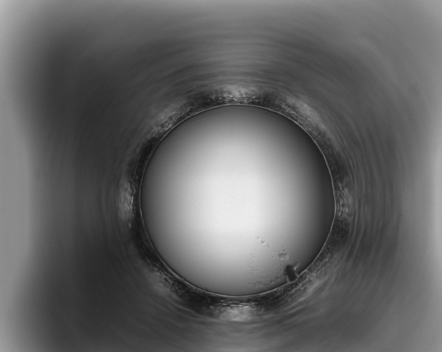 X0000095890456200801181229