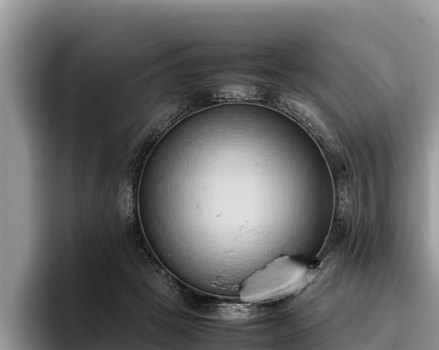 X0000095890457200801181229