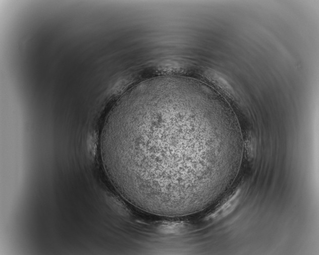 X0000095890458200801181229
