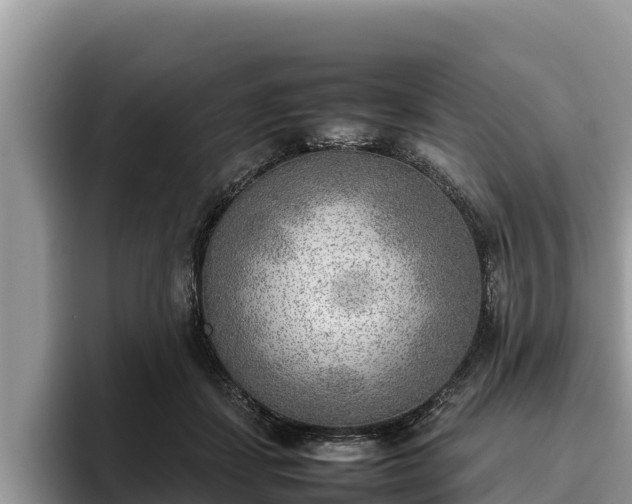 X0000095890459200801181229