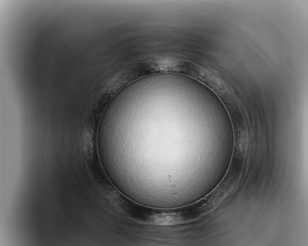 X0000095890461200801181229