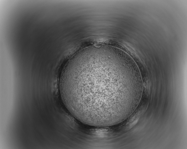 X0000095890462200801181229