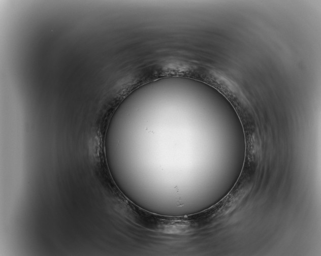 X0000095890463200801181229