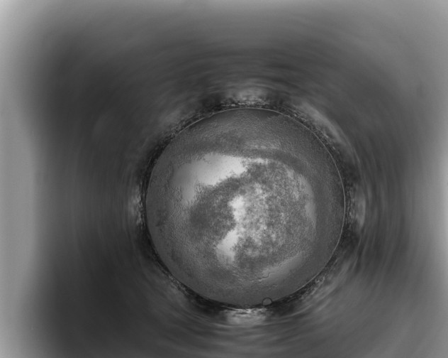 X0000095890465200801181229