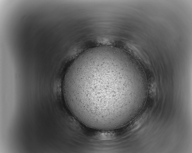 X0000095890466200801181229