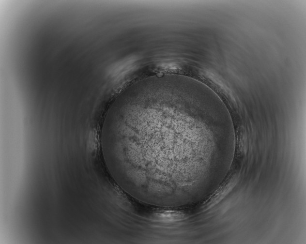 X0000095890467200801181229