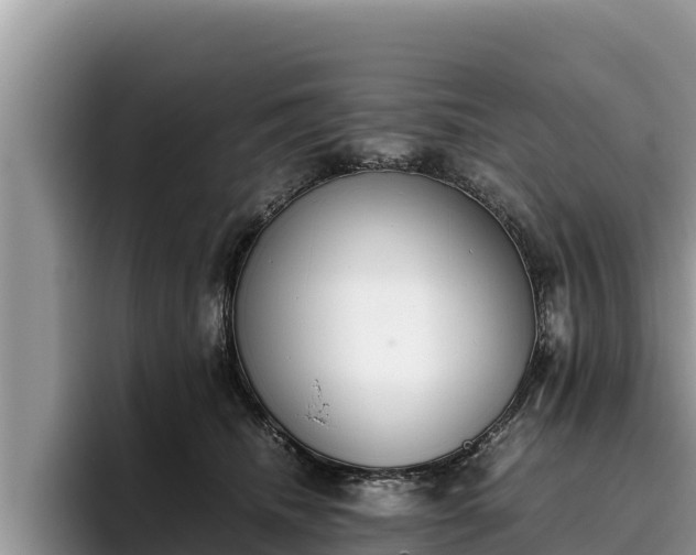 X0000095890468200801181229