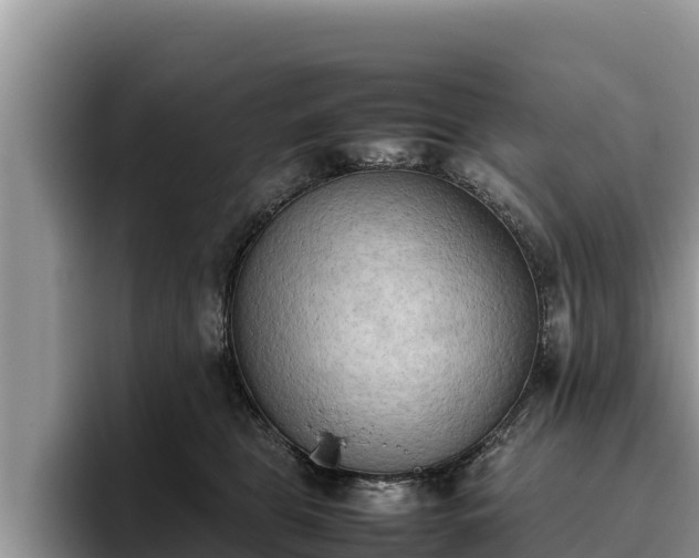X0000095890469200801181229