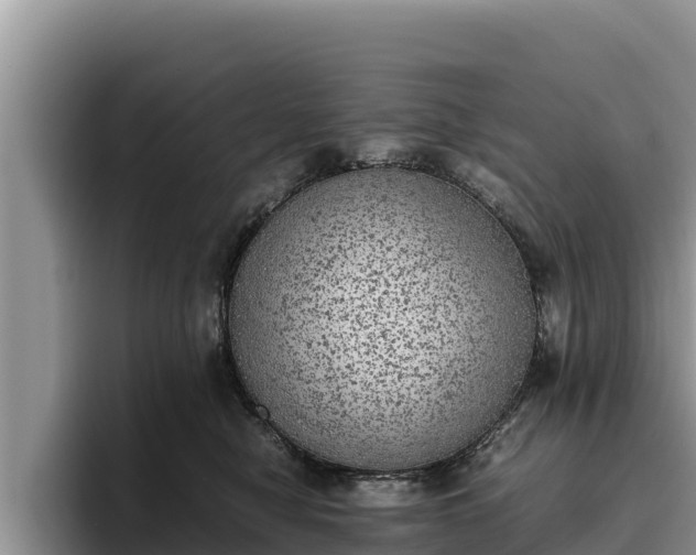 X0000095890470200801181229