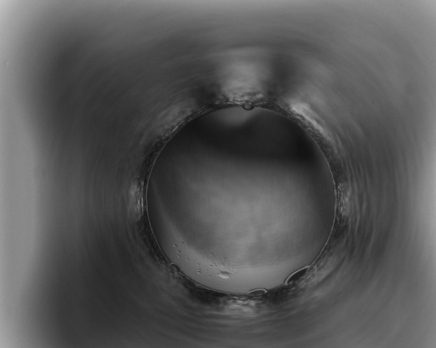 X0000095890471200801181229