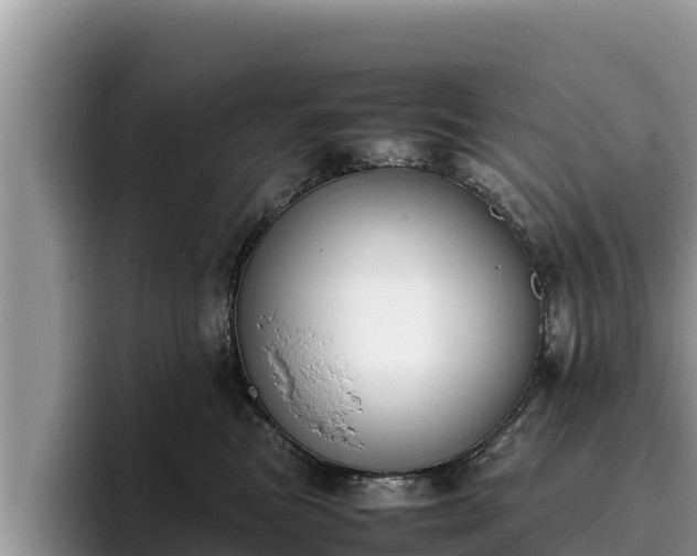 X0000095890473200801181229