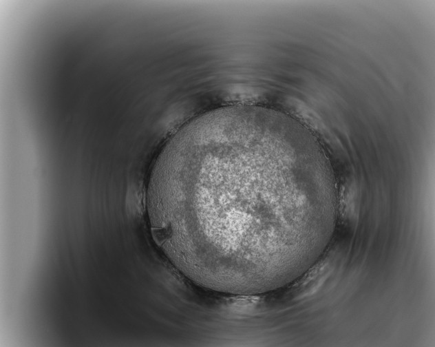X0000095890474200801181229