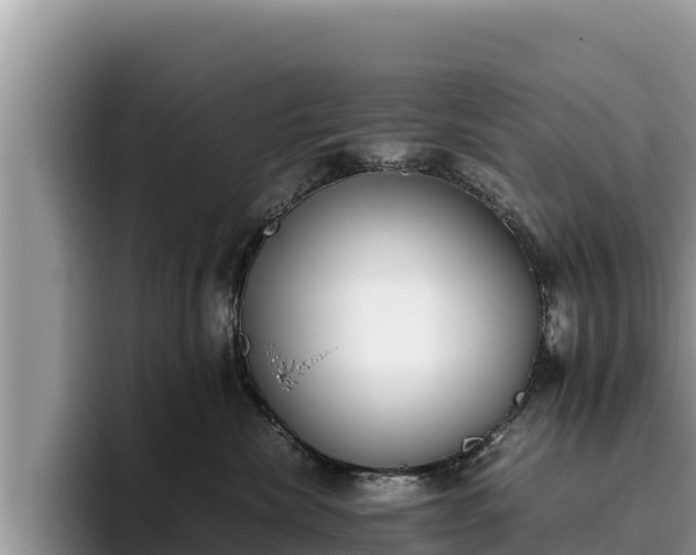 X0000095890476200801181229