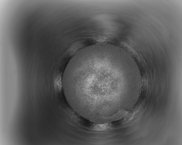 X0000095890479200801181229