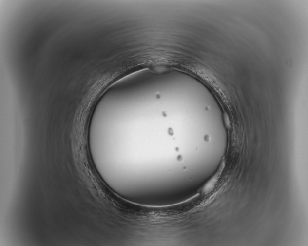 X0000095890481200801181229