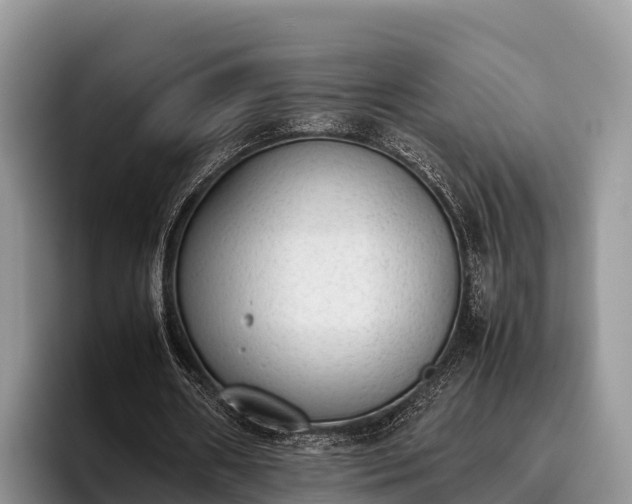 X0000095890482200801181229