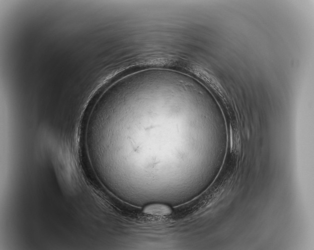 X0000095890483200801181229