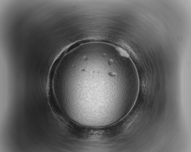 X0000095890484200801181229