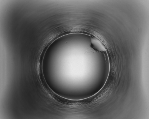 X0000095890485200801181228