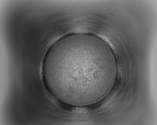 X0000095890487200801181228
