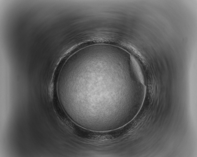 X0000095890488200801181228