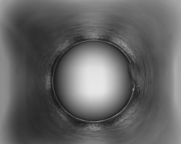 X0000095890489200801181228