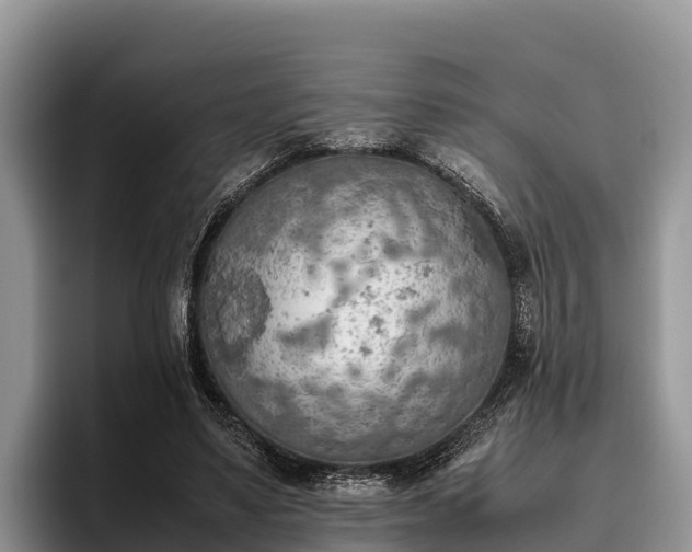 X0000095890491200801181228
