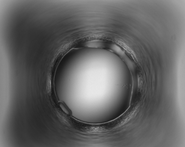 X0000095890493200801181228
