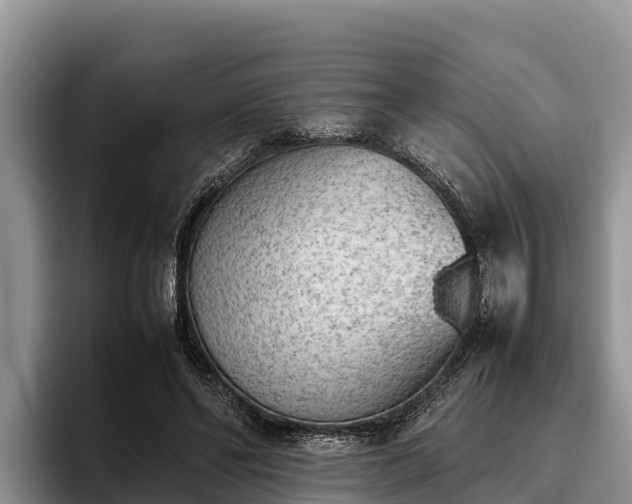 X0000095890494200801181228
