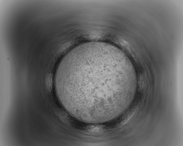 X0000095890495200801181228