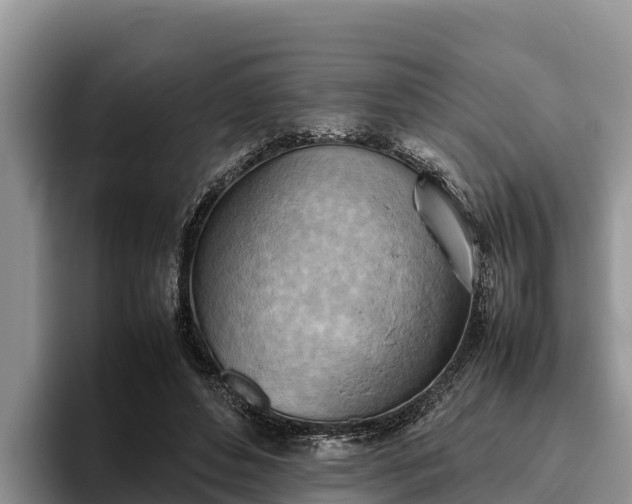 X0000095890496200801181228