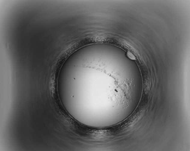 X0000095890497200801181228