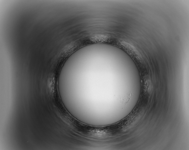 X0000095890498200801181228