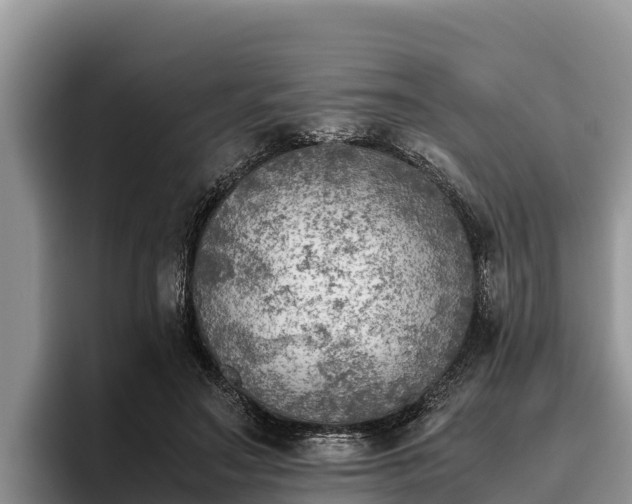 X0000095890499200801181228