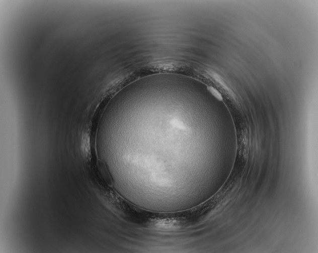 X0000095890500200801181228
