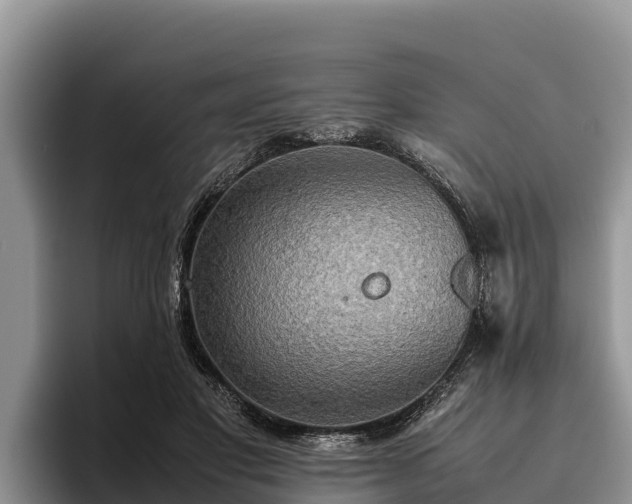 X0000095890501200801181228