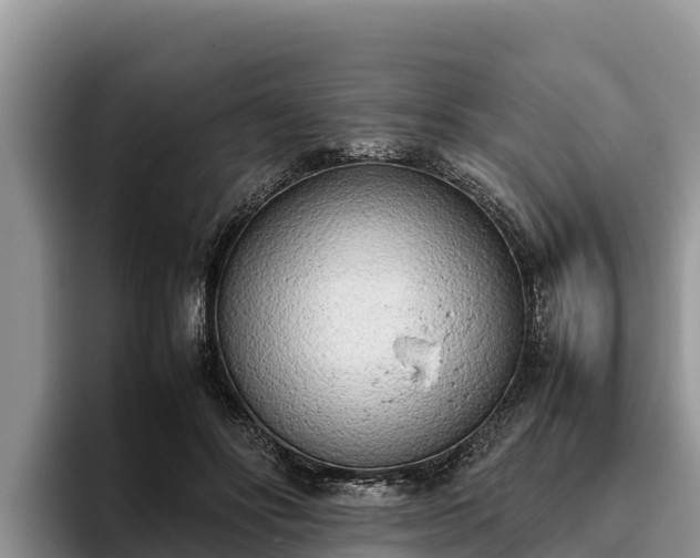 X0000095890502200801181228