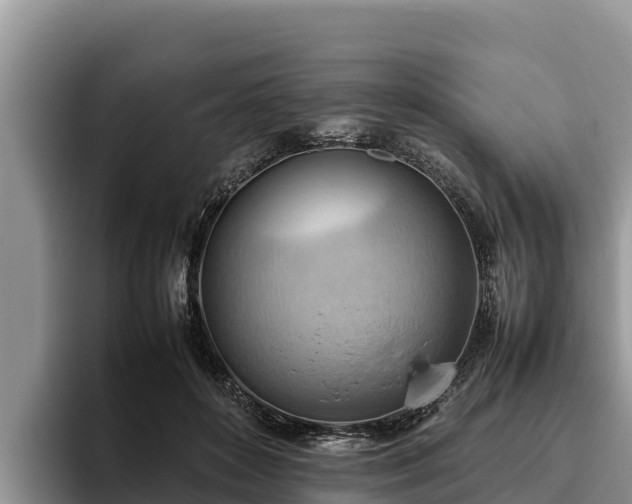 X0000095890504200801181228