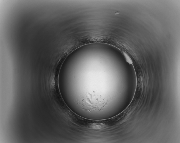 X0000095890508200801181228