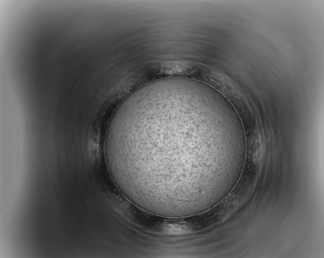 X0000095890510200801181228