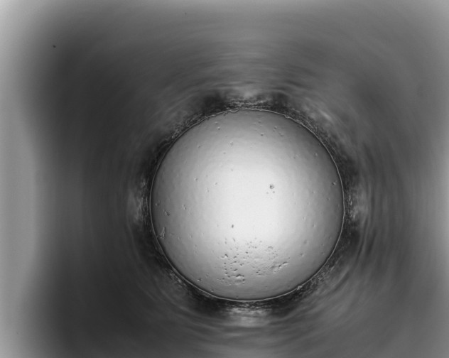 X0000095890515200801181228