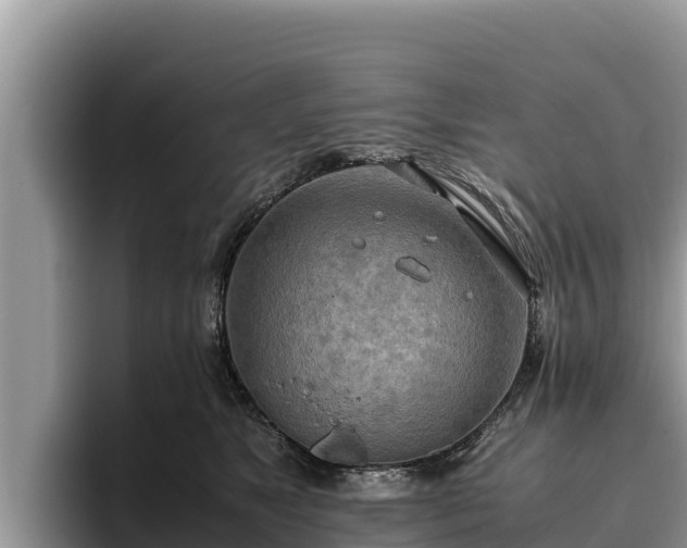 X0000095890517200801181228