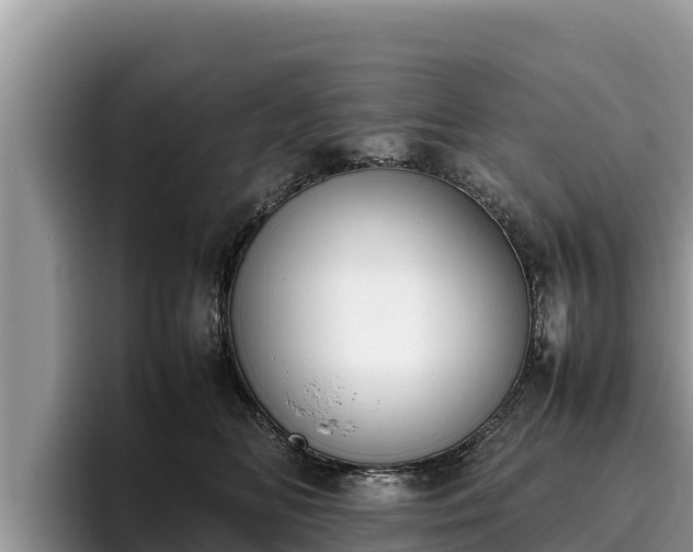 X0000095890518200801181228