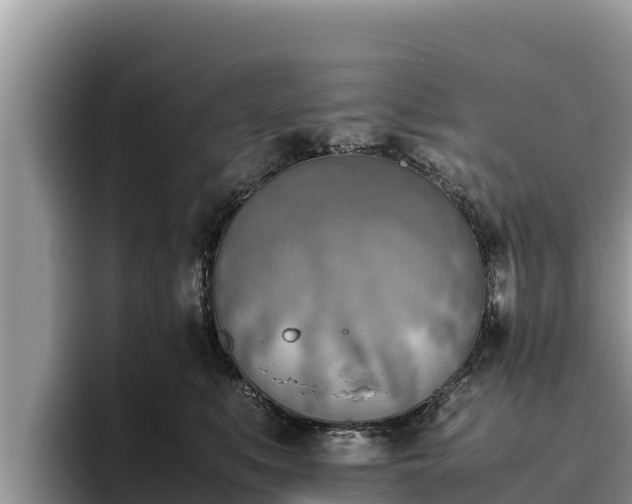 X0000095890519200801181228