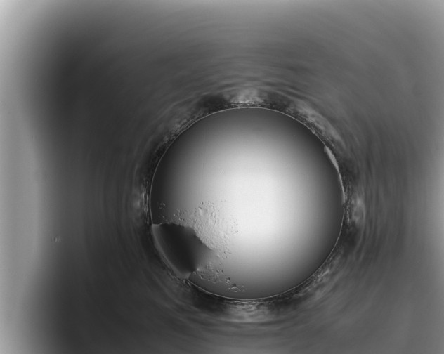 X0000095890521200801181228
