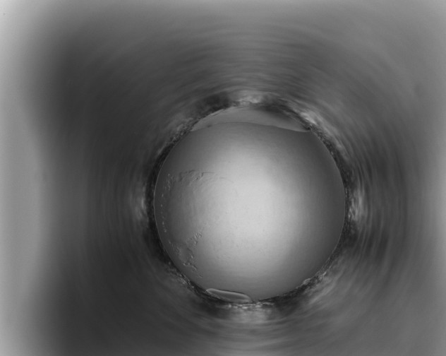 X0000095890524200801181228