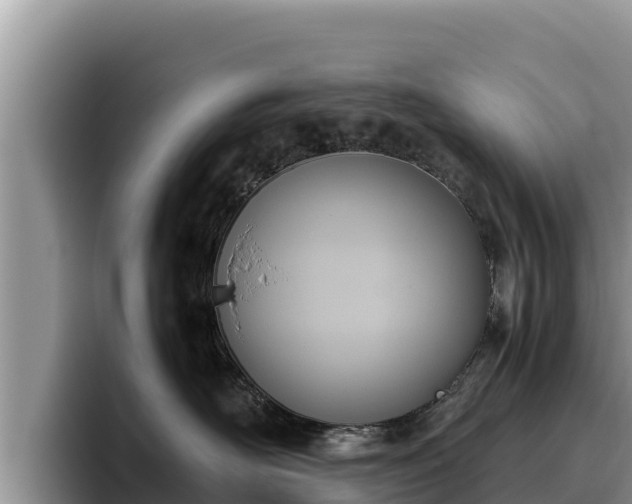 X0000095890526200801181228